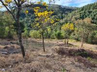 TERRENO À VENDA EM ÁGUAS DE LINDÓIA