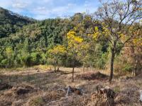 TERRENO À VENDA EM ÁGUAS DE LINDÓIA