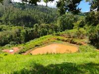 SÍTIO À VENDA – EXCELENTE LOCALIZAÇÃO