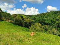 SÍTIO À VENDA – EXCELENTE LOCALIZAÇÃO