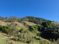 SÍTIO EM LINDÓIA – EXCELENTE LOCALIZAÇÃO E MUITA NATUREZA