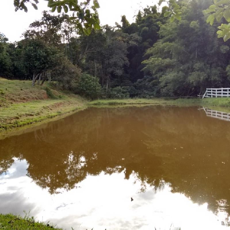 Chácara com lago- Águas de Lindoia