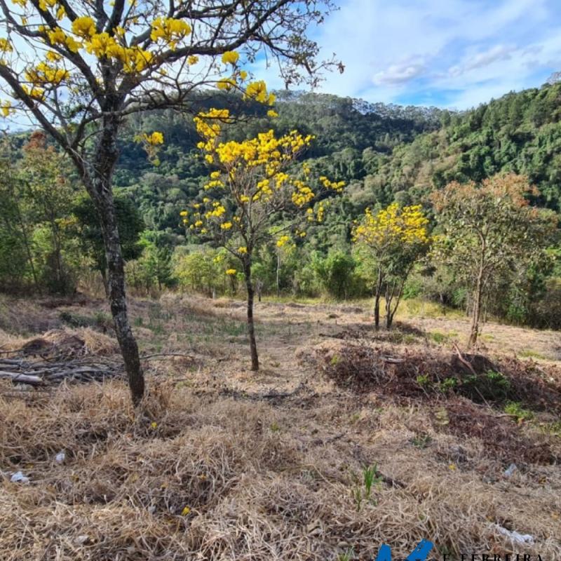 TERRENO À VENDA EM ÁGUAS DE LINDÓIA