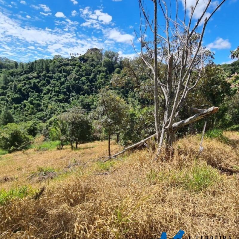 TERRENO À VENDA EM ÁGUAS DE LINDÓIA