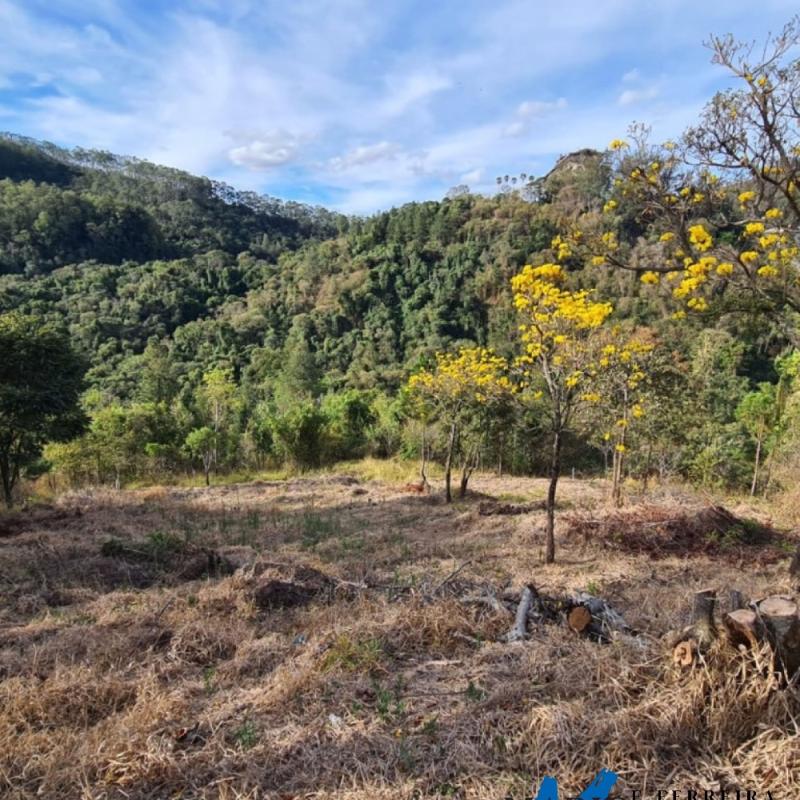 TERRENO À VENDA EM ÁGUAS DE LINDÓIA