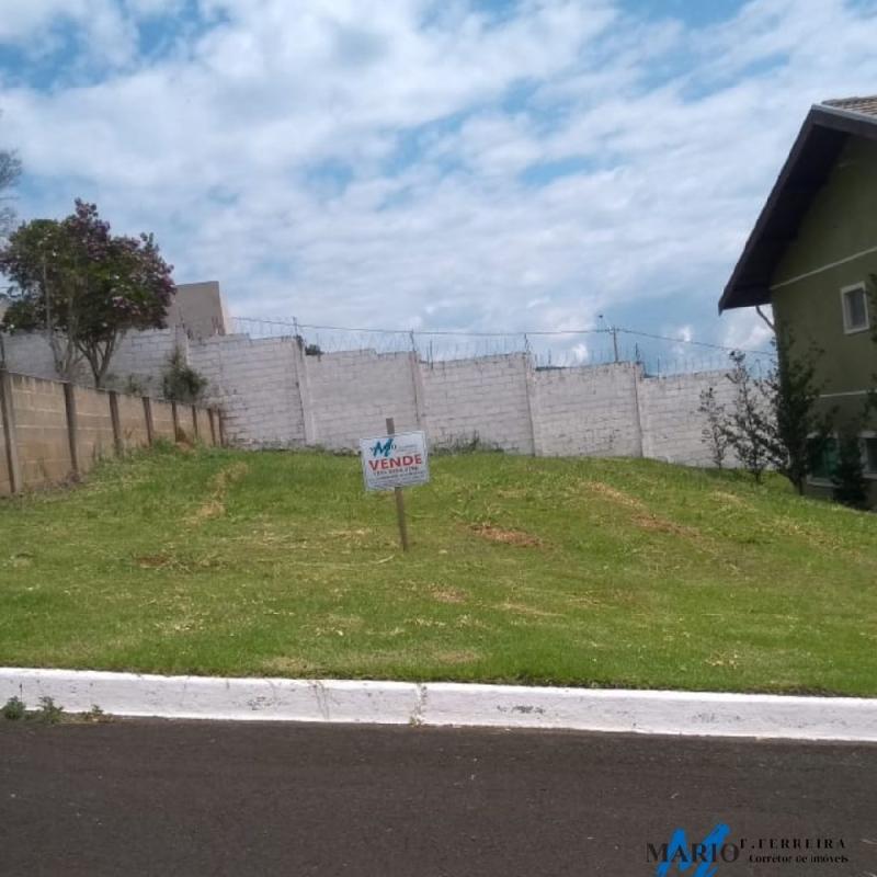 LOTES COM EXECELENTE TOPOGRAFIA - OTIMA VISTA