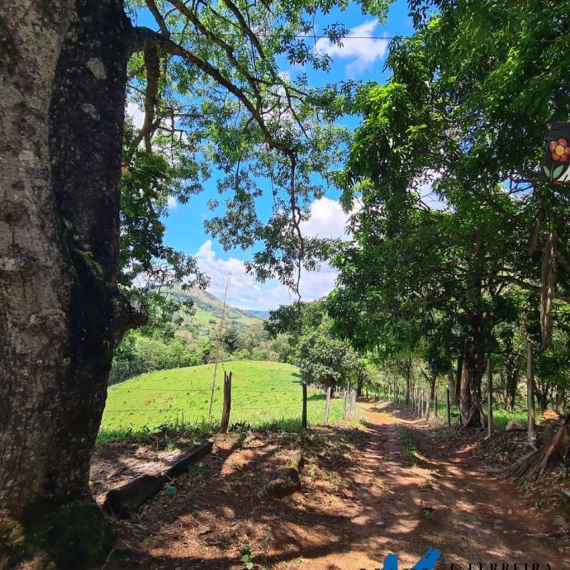 SÍTIO À VENDA – EXCELENTE LOCALIZAÇÃO