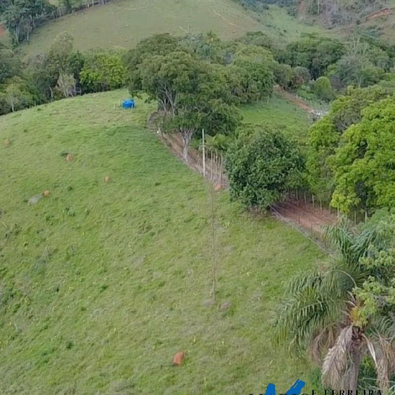 SÍTIO À VENDA – EXCELENTE LOCALIZAÇÃO