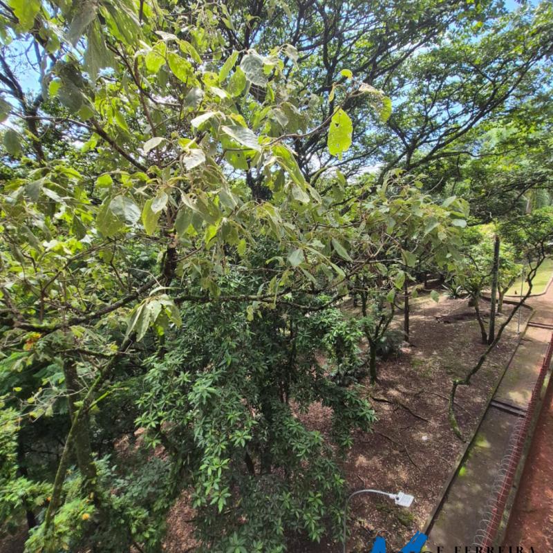 APARTAMENTOS À VENDA – LOCALIZAÇÃO EXCELENTE