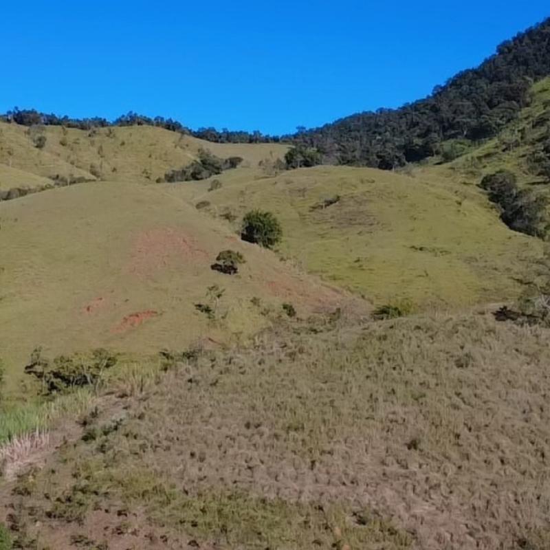 SÍTIO EM LINDÓIA – EXCELENTE LOCALIZAÇÃO E MUITA NATUREZA