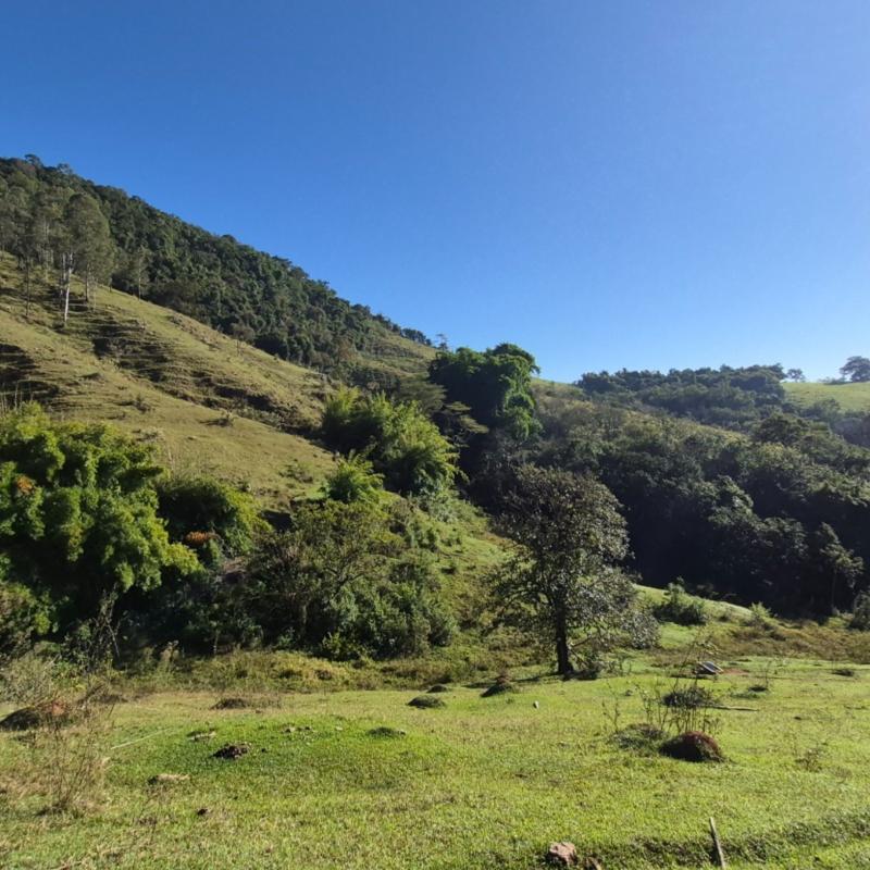 SÍTIO EM LINDÓIA – EXCELENTE LOCALIZAÇÃO E MUITA NATUREZA