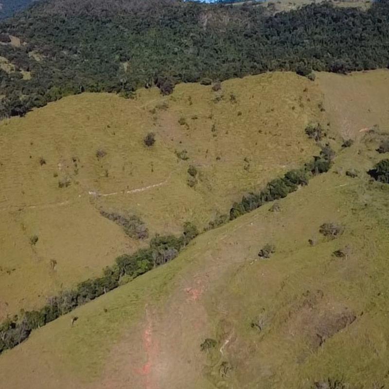 SÍTIO EM LINDÓIA – EXCELENTE LOCALIZAÇÃO E MUITA NATUREZA