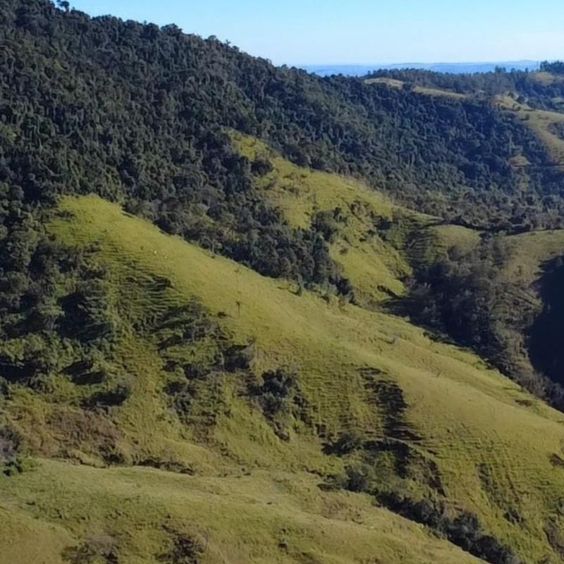 SÍTIO EM LINDÓIA – EXCELENTE LOCALIZAÇÃO E MUITA NATUREZA
